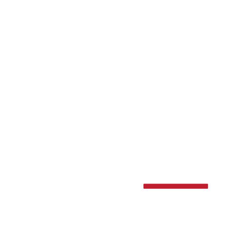 WiserOwl Logo